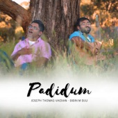 Padidum artwork