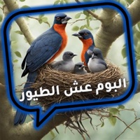 البوم عش الطيور - فريق الاحلام الدخلاوية - Elshbah production