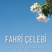 Ah Çekip Gülmeden - Fahri Çelebi
