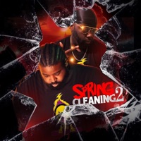 Sprind Cleaning 2 - Kage Greene