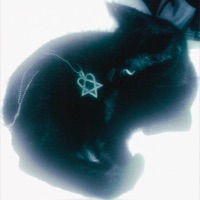 Sometimes I Pray - Single - nappy 01'