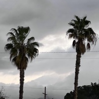 Feelz (feat. Wangsap) - Single - GNLUV