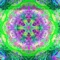 Rainbow Euphoria - Cosmic Rainbow Band lyrics