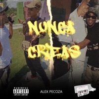 Nunca Crea - Single - Alex Pecoza