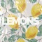 Lemons - Crasti lyrics
