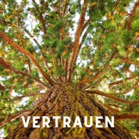 vertrauen - Single - 3kut
