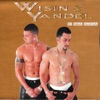 Wisin & Yandel