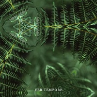 Ver Tempore - Single - shwiLLy, Supernatural & Swomp