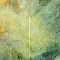 Good Ground - Single - We Dream of Eden & Be Still the Earth