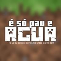 É Só Pau e Água - Single - DJ Bokinha, DJ Paulinho Unico, MC LD & DJ HS Beat