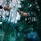 Bile - Siilk lyrics