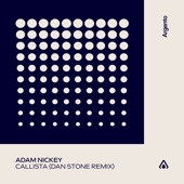 Callista (Dan Stone Remix) artwork
