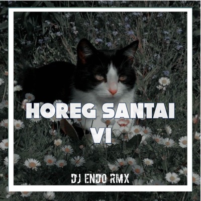 DJ ENDO RMX - DJ HOREG SANTAI V1 (DJ HOREG SANTAI V1)