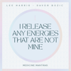Lee Harris & Davor Bozic - I Release Any Energies That Are Not Mine artwork