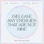 I Release Any Energies That Are Not Mine artwork