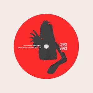 Paranoid / Anomal Melody - Single