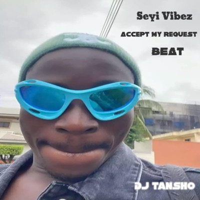 Chicken Seyii Vibes Accept My Request Beat - Single
