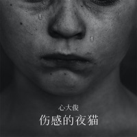 伤感的夜猫 - Single - 心大俊