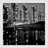 city light (Feat. BenedettO_U) - Single