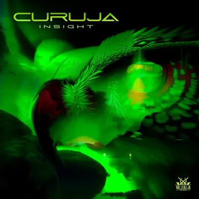 Listen to Insight by Curuja