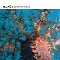 Tegnùe - Single - Luca Francioso