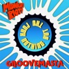 Nothing but the Funk - Single