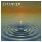 Submerge (feat. Greg Blackman) - Unseen lyrics