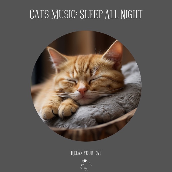 Cats Music: Sleep All Night