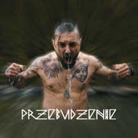 Przebudzenie - Single - NDZ AK