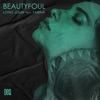 Beautyfoul - Single