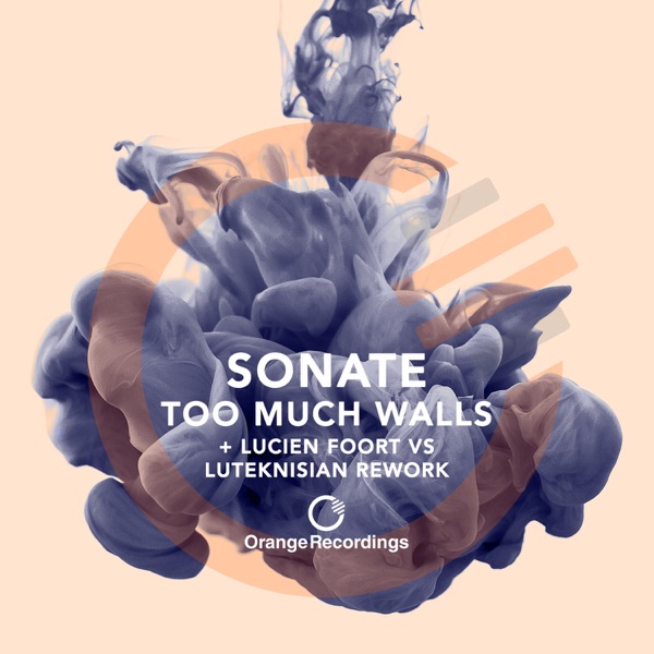 Too Much Walls - Single
