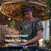 High On Your Vibe (Extended Mix) artwork