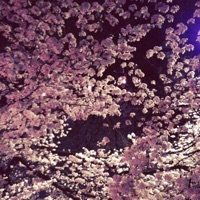 Bait - Single - Fitz Ambro$e