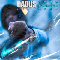 Terrain miné 6 - Single - Raous gang