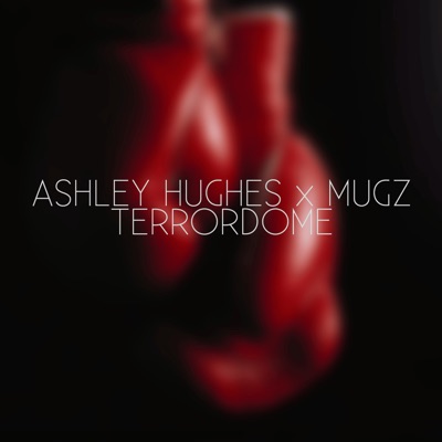 Terrordome (feat. Mugz Terrordome) - Single
