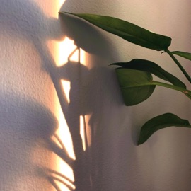 Visine (feat. Casperrr) Toothpaste