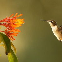 Stay - Single - Soft Static