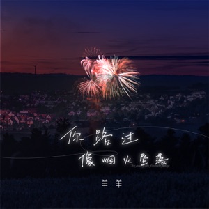 你路过像烟火坠落 - Single