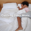 Lounge Music Café, Work Music & Catching Sleep - Catching Sleep Music Grafik