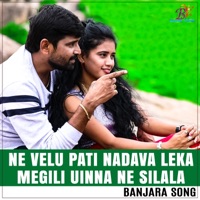 Ne Velu Pati Nadava Leka Megili Uinna Ne Silala - Single - Amar Devarakonda