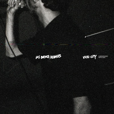 Vice City @ Montevideo Rock 2020 - Single