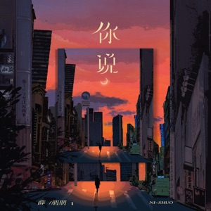 你说 - Single