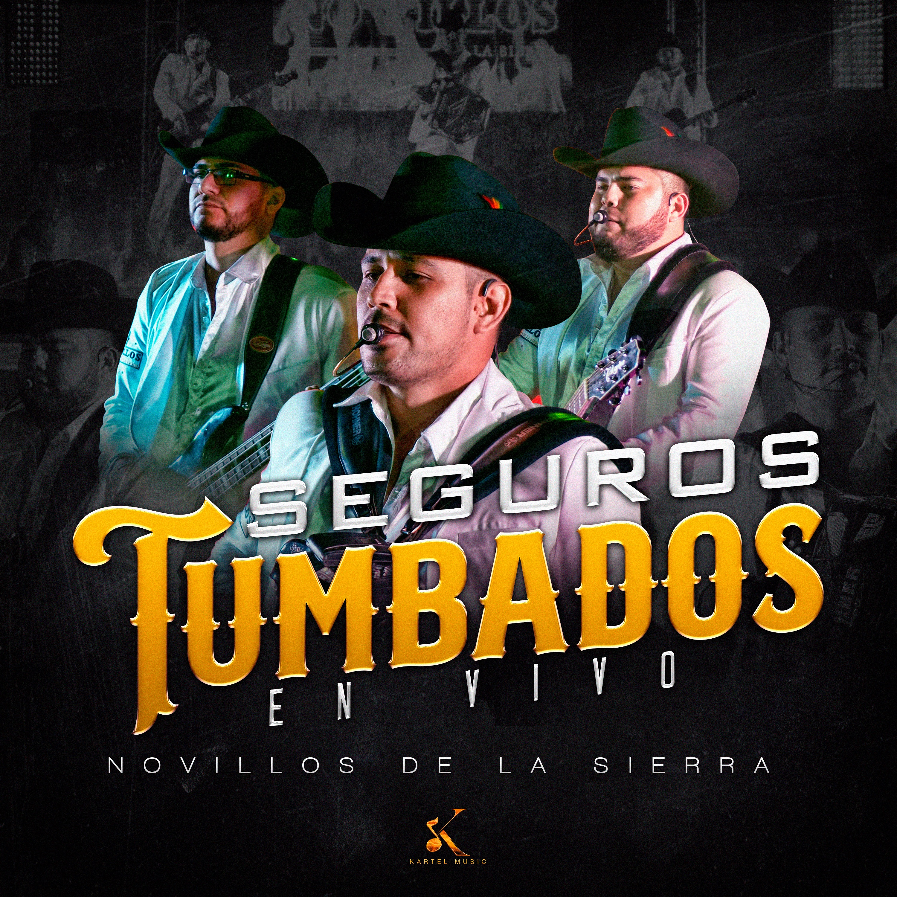Seguros Tumbado - Single