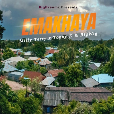 Emakhaya (feat. Tonny K & BigWig) - Single