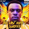 The Last Hope 2 Survive