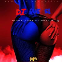 Di Que Si (feat. Des Young Jr) - Single - Natural Yerba