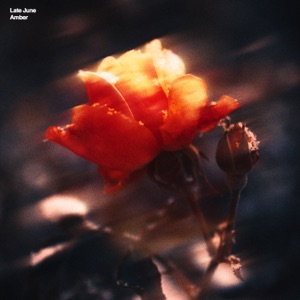 Amber - EP