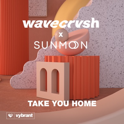 Take You Home - Single