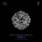 I'm Robot (Sirmeloo Remix) - Marco Miranda lyrics