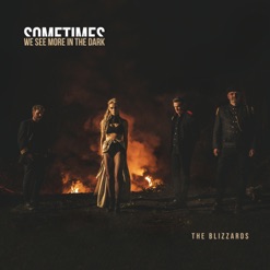 SOMETIMES WE SEE MORE IN THE DARK cover art